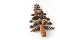 Fir-tree made of cones various coniferous trees isolated on white, view from above. Free copy space. Royalty Free Stock Photo