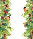 Fir tree, mistletoe, red finch bird. Christmas seamless border. Watercolor Royalty Free Stock Photo