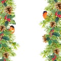 Fir tree, mistletoe, red finch bird. Christmas seamless border. Watercolor Royalty Free Stock Photo