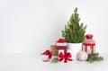 Fir tree in pot with many gift boxes on white Royalty Free Stock Photo