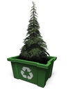 Fir tree in recycle bin