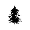 Fir tree silhouette. Black grunge Christmas tree. Watercolor spruce isolated on white background. Vector illustration. Royalty Free Stock Photo