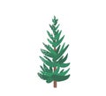 Fir tree with snow texture. Pine xmas vector illustration isolated on white background. Simple flat cartoon green spruce Royalty Free Stock Photo