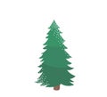 Fir tree with snow texture. Pine xmas vector illustration isolated on white background. Simple flat cartoon green spruce Royalty Free Stock Photo