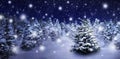 Fir tree in snowy night Royalty Free Stock Photo