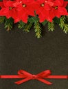 Fir-tree twigs and poinsettia flowers edge and ribbon bow
