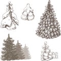 Fir-trees