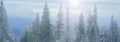 Fir trees covered with snow in Carpathians. hoarfrost on trees. Winter landscape Royalty Free Stock Photo