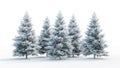 Fir trees covered in snow, realistic rendering style, white background, 3D, symmetrical composition Royalty Free Stock Photo