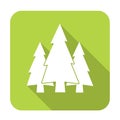 Fir Trees forest icon Royalty Free Stock Photo