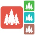 Fir Trees forest icon Royalty Free Stock Photo