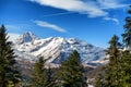 fir trees in french pyrenees mountains with Pic du Midi de Bigorre in background Royalty Free Stock Photo