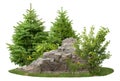 Cutout rock surrounded by pine trees Royalty Free Stock Photo