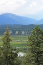 Fir trees in the Kootenays - vertical Royalty Free Stock Photo