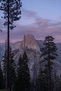 Wildlife landscape of american mountain range