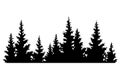 Fir trees silhouette. Coniferous spruce horizontal background pattern, black evergreen woods vector illustration