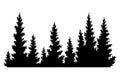 Fir trees silhouette. Coniferous spruce horizontal background pattern, black evergreen woods vector illustration