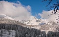 Fir trees under the snow. Winter landscape of the mountain fores