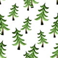 Fir trees on white background Royalty Free Stock Photo