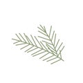 Fir twig isolated on white. Beautiful detail for Christmas and nature illustration concepts. Christmas symbol. Traditional