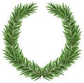 Fir wreath. Green lush spruce branch. Fir branches