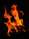 Fire Royalty Free Stock Photo