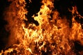 Fire Royalty Free Stock Photo