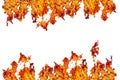 fire or ablaze wall, yellow, orange and red and red Fire flame i Royalty Free Stock Photo