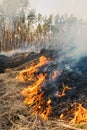 Fire on agricultural land near forest