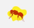 Fire Ant Vector Royalty Free Stock Photo