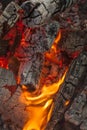 Close up of fire and ashes