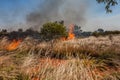 A fire in the Australian outback Royalty Free Stock Photo