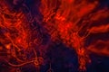 Fire background abstraction Royalty Free Stock Photo