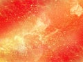 Fire Background texture