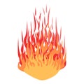 Fire. Big flame. Bright flaming elements Royalty Free Stock Photo