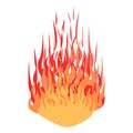 Fire. Big flame. Bright flaming elements Royalty Free Stock Photo