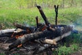 A fire from birch logs in a forest glade Royalty Free Stock Photo