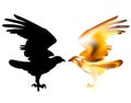 Fire bird eagle in flight as symbol of power and freedom Royalty Free Stock Photo