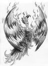 Fire bird - phoenix Royalty Free Stock Photo