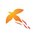 fire bird phoenix logo design vector illustrations graphic Royalty Free Stock Photo