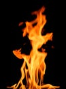 fire on a black background, burning and hot flames, close view