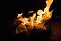 Fire on black background. Orange flame close up. Light in the night. Heat background. Bonfire in darkness.