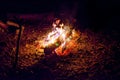 Fire on black. Bonfire. Orange flame on a black background. Fire at night in the forest Royalty Free Stock Photo