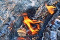 Fire with black coals, orange flames, blue smoke and gray ash. Royalty Free Stock Photo