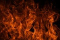 Fire blaze flames on black background. Fire burn flame isolated, abstract texture. Flaming explosion with burning effect Royalty Free Stock Photo