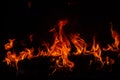 Fire blaze flames on black background. Fire burn flame isolated, abstract texture. Flaming explosion effect with burning Royalty Free Stock Photo