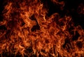 Fire blaze flames on black background. Fire burn flame isolated, abstract texture. Flaming explosion effect with burning Royalty Free Stock Photo