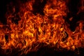 Fire blaze flames on black background. Fire burn flame isolated, abstract texture. Flaming explosion with burning effect Royalty Free Stock Photo