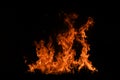 Fire blaze flames on black background. Fire burn flame isolated, abstract texture. Flaming explosion with burning effect Royalty Free Stock Photo