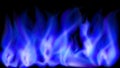 Exclusive illustration. The fire is blue. Flame on a black background. Unique vector graphic wallpapers.